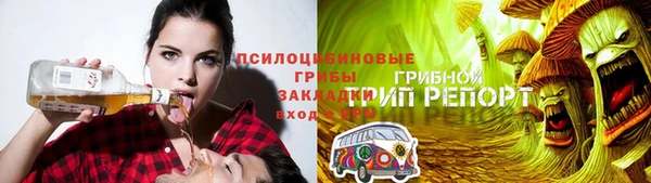 шишки Армянск