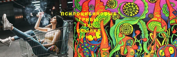 PSILOCYBIN Каменск-Шахтинский