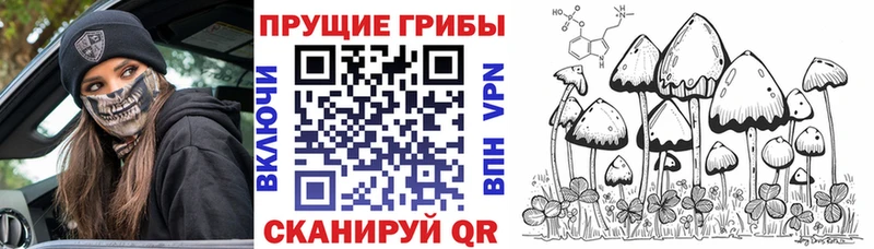 Галлюциногенные грибы Psilocybe  нарко площадка клад  Щёкино 